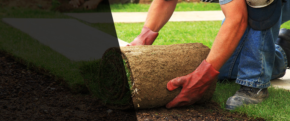Stevensburg Landscapers